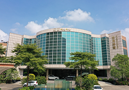 LOUIS LONG (Guangdong) New Materials Co., Ltd.